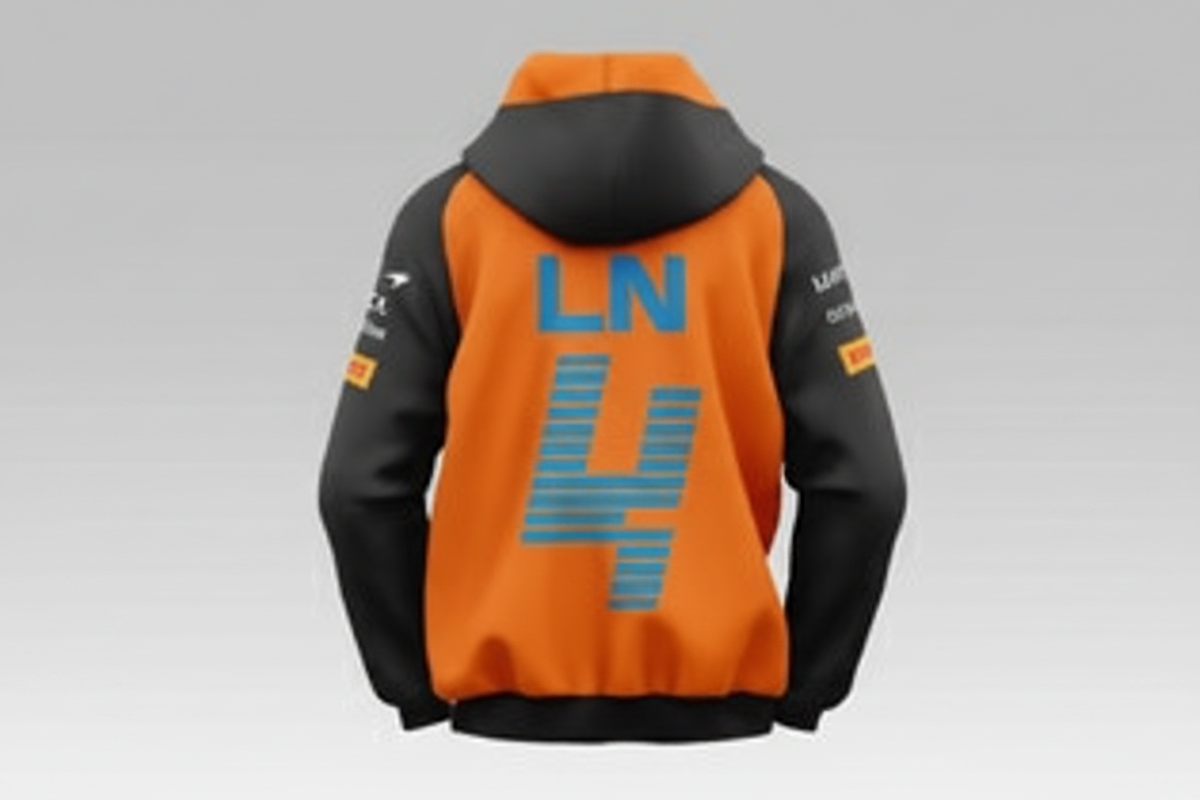 World Champion Hoodie Back